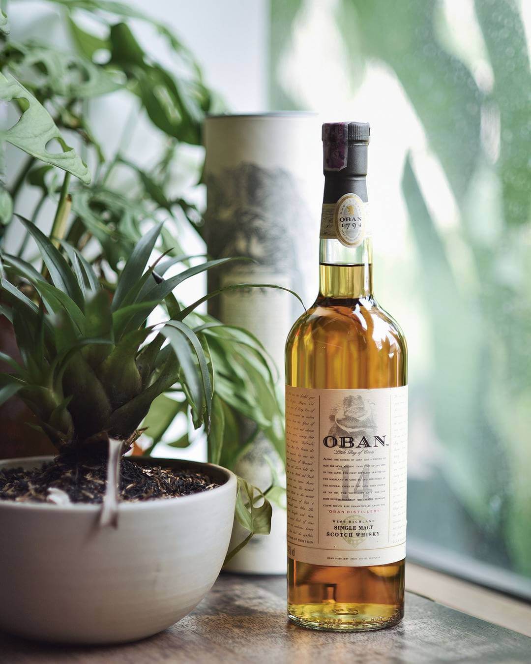 The Bali Bible Red & White Wine and Spirits Bali Deli…